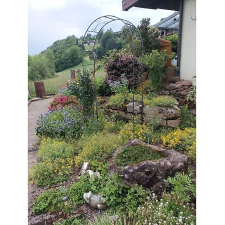 Ferienwohnung Wiesenblick Оберхармерсбах Екстериор снимка
